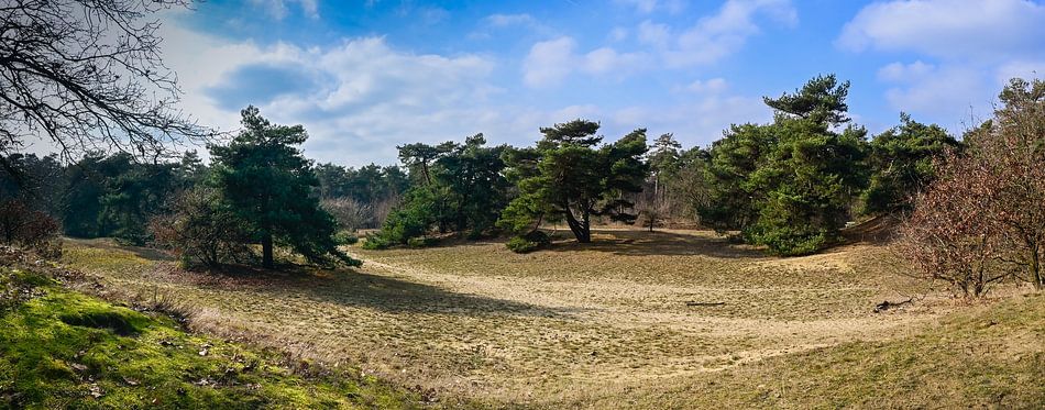 Panorama Boshuizerbergen: Winterse Rust bij Venray