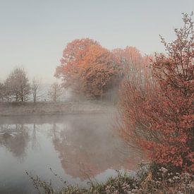 herfst in de mist van Volker Regt