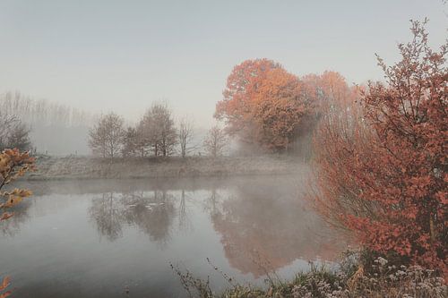 herfst in de mist