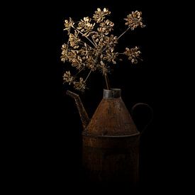 Hogweed by Elles Rijsdijk