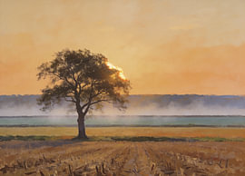 Boom in de mist boven een amberkleurig veld van OEVER.ART