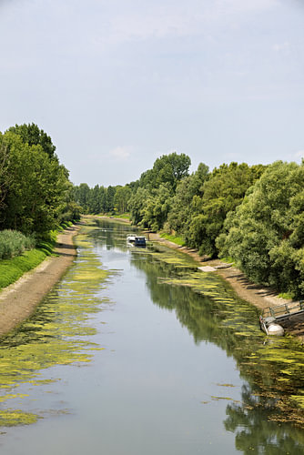 Kleine bootjes die in het natuurreservaat Kühkopf zijn vastgelegd