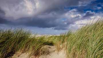 Noord-Hollandse kust met het duin in het najaar van eric van der eijk