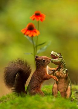 Squirrel Meets Dinosaur