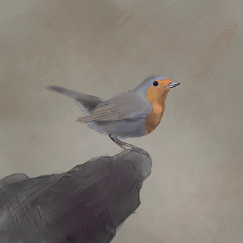 Roodborstje aquarel