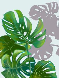 Licht und Schatten von Ineke Zeeuw