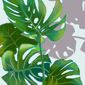 Licht und Schatten von Ineke Zeeuw