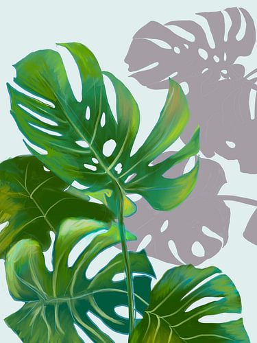 Light and shadow by Ineke Zeeuw