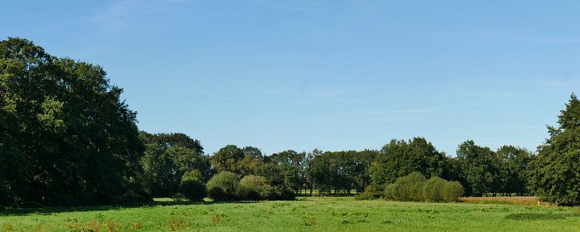 Weilanden en boswallen van Wim vd Neut