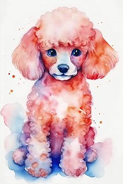 Watercolour of a poodle by Christian Ovís