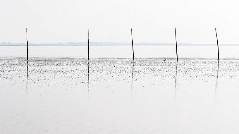What Wad by Wouter Vroom