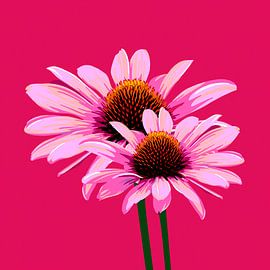 Rote Sonnenblume – Sommerblume, gezeichnet in leuchtenden Rot- und Rosatönen