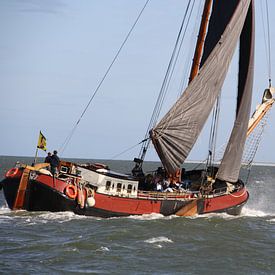 De Boreas op de Waddenzee von Furdjil de Lange