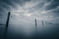 Echo's of the Tide