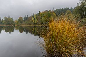 Die goldene Schwelle zum Winter