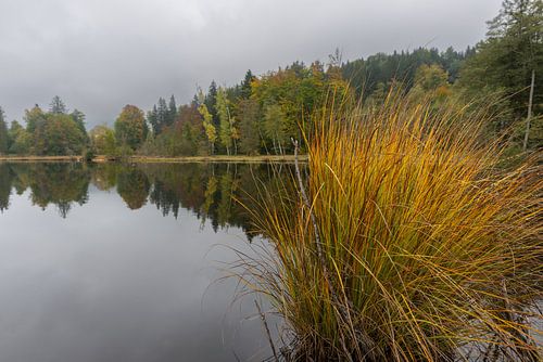 De gouden drempel naar de winter