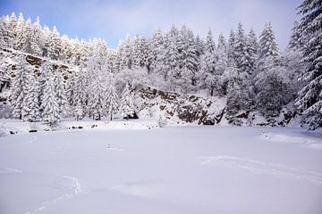 Langlaufen in het besneeuwde Thüringer Woud bij Floh-Seligenthal - Thüringen - Duitsland van Oliver Hlavaty