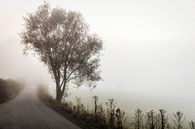 Mist @ Cottessen van Rob Boon thumbnail
