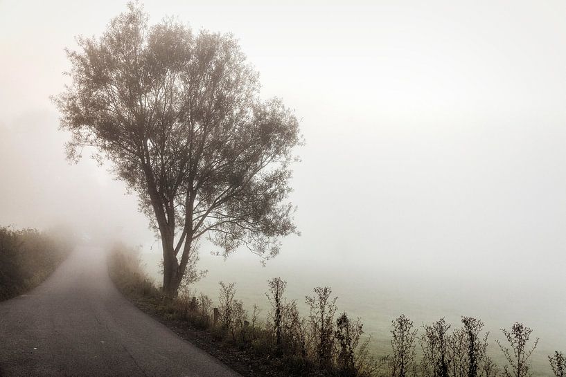 Mist @ Cottessen van Rob Boon
