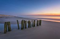 Palen op strand na zonsondergang van Pieter Struiksma thumbnail