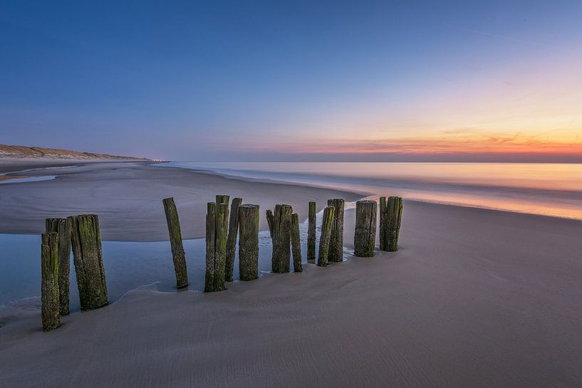 Palen op strand na zonsondergang van Pieter Struiksma