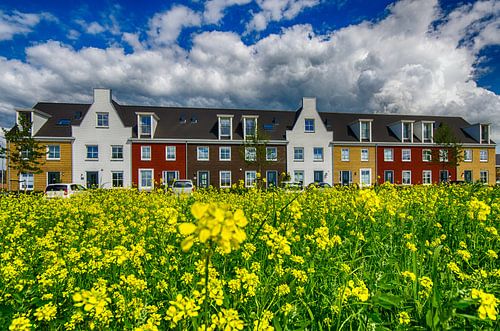 Nieuwbouw met Zomerbloemen