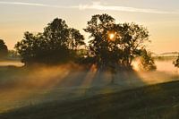 Zonneharpen in de IJsseldelta