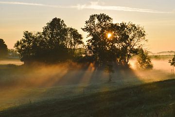 Zonneharpen in de IJsseldelta van Jisca Lucia