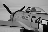 Republic P-47D Thunderbolt warbird