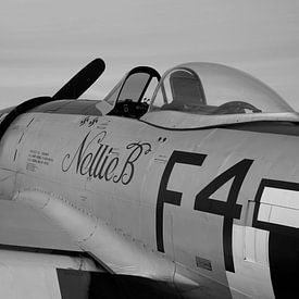 Republic P-47D Thunderbolt warbird by Arjan Dijksterhuis