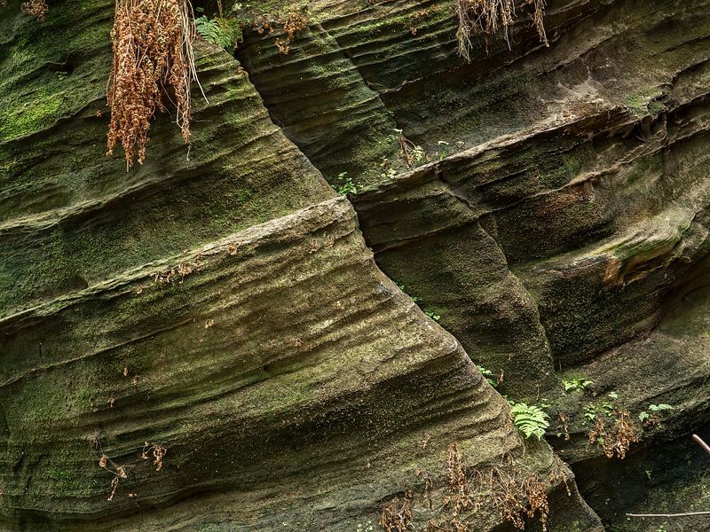 Bielatal, Suisse saxonne - Structure rocheuse &amp; Fente rocheuse à la montagne magique par Pixelwerk