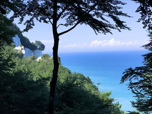 Møns Klint