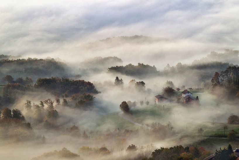 Mysterious fog by René Pronk