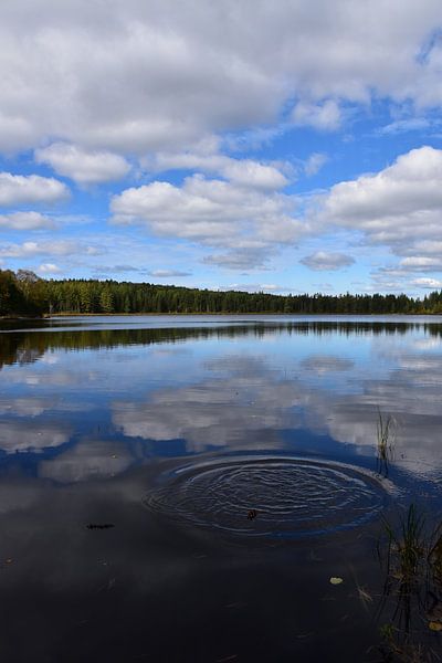 Reflection on the lake in autumn by Claude Laprise