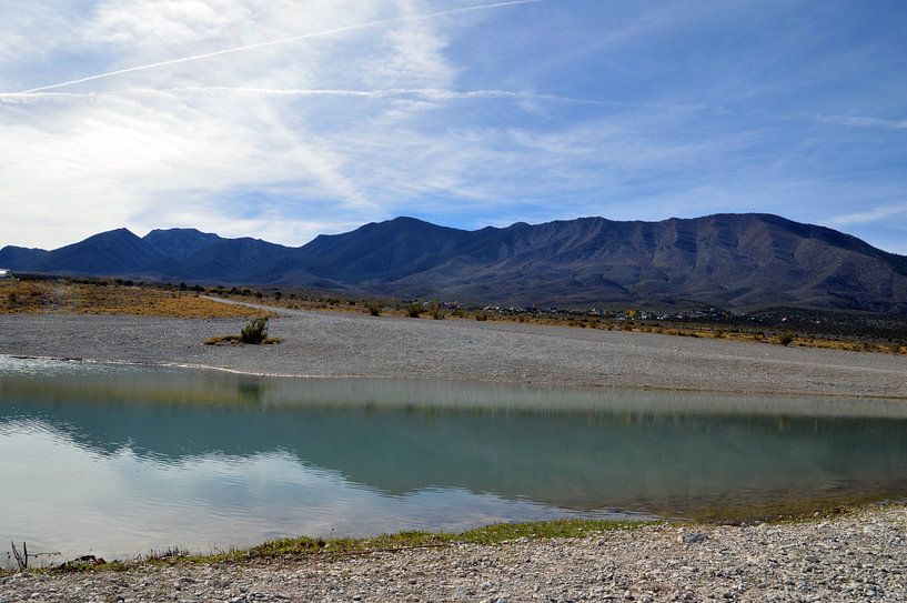 Pond in the Nevada desert by Sandra Knittel