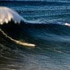 Surfen Nazaré Portugal van Marieke van der Hoek-Vijfvinkel