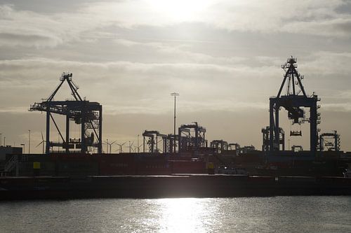 Terminals, Maasvlakte 2, Rotterdam