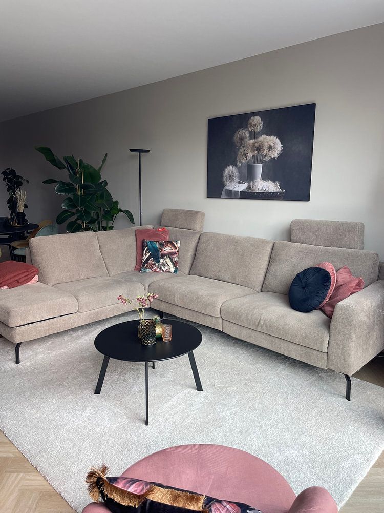 Löwenzahn-Samenschote  von Lydia Jacobs 