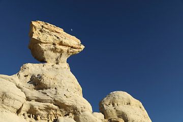 De-na-zin wilderness area, Bisti badlands, New Mexico USA by Frank Fichtmüller