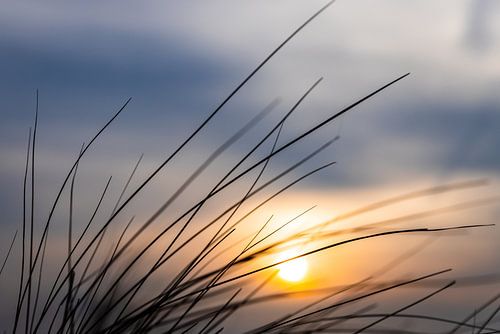 Sonnenuntergang mit Marram-Gras im Vordergrund