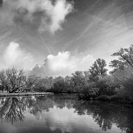 spiegelglad sur Fokko Westerhof