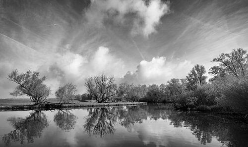 spiegelglad sur Fokko Westerhof