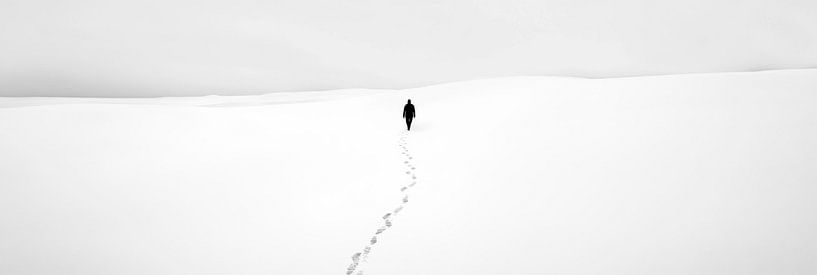 Loneliness in the white expanse by Poster Art Shop