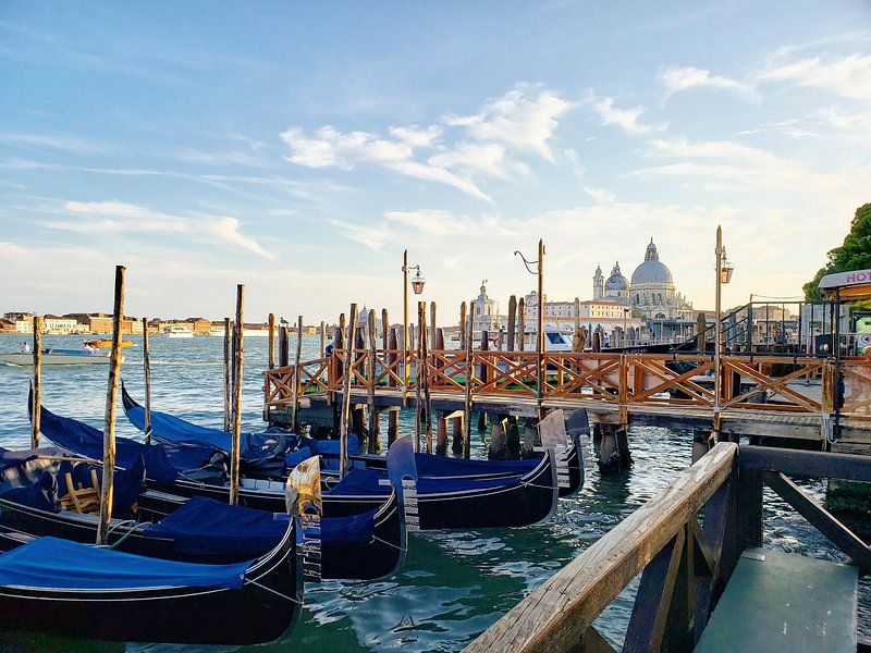 Venice by Hello Pompoyo