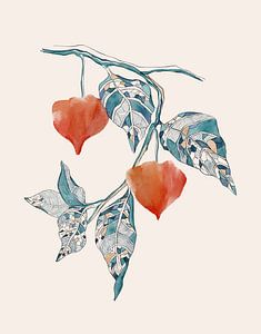 Lanterne chinoise