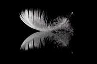 Reflectie van een ganzenveer van Laura Loeve thumbnail