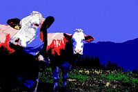 Des vaches dans les pâturages de montagne : le pop art