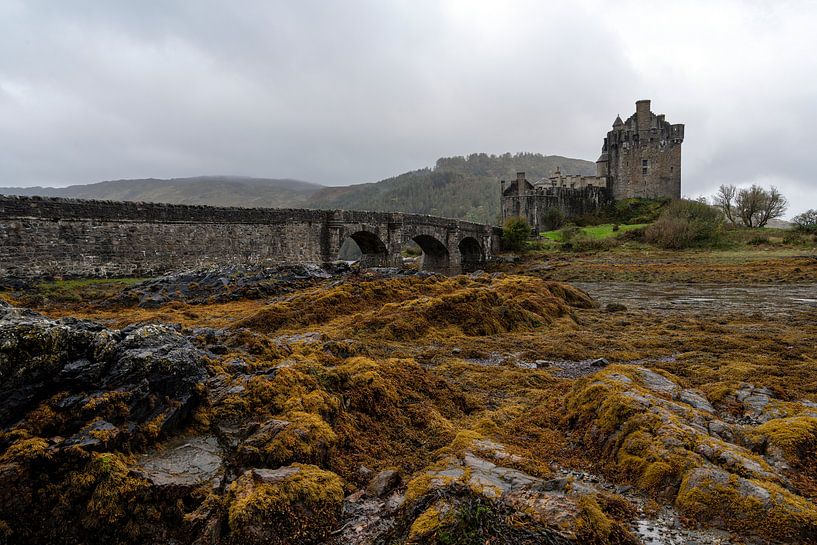 Eilean Dolan Castle, Schottland von Ab Wubben
