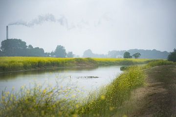 Utrechtse Heuvelrug-plas bij Palmerswaard 02 von Cilia Brandts