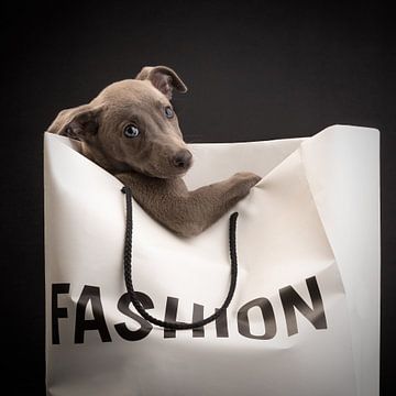 Doggy Bag van Nuelle Flipse